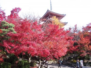 Kiyomizu Temple